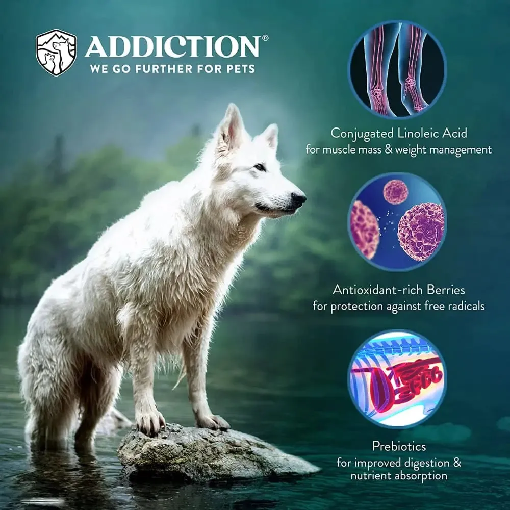 Addiction Homestyle Venison & Cranberry Dinner Raw Alternative Air Dried Dog Food