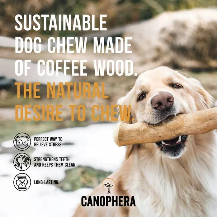 Coffee Wood Dog Chew Stick - M