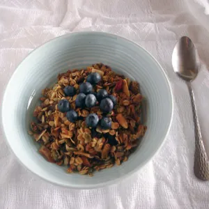 Cranberry Almond Granola (1 Pack)