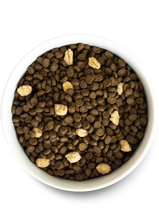 Feline RawMix Plus Bundle
