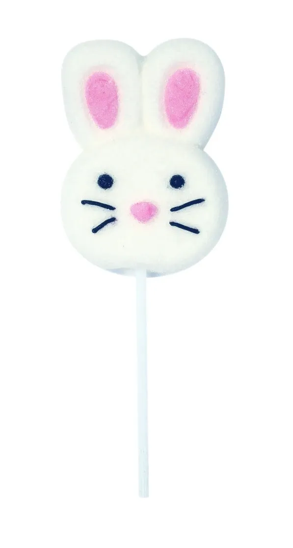 Freeze Dried Character Marshmallow Sticks