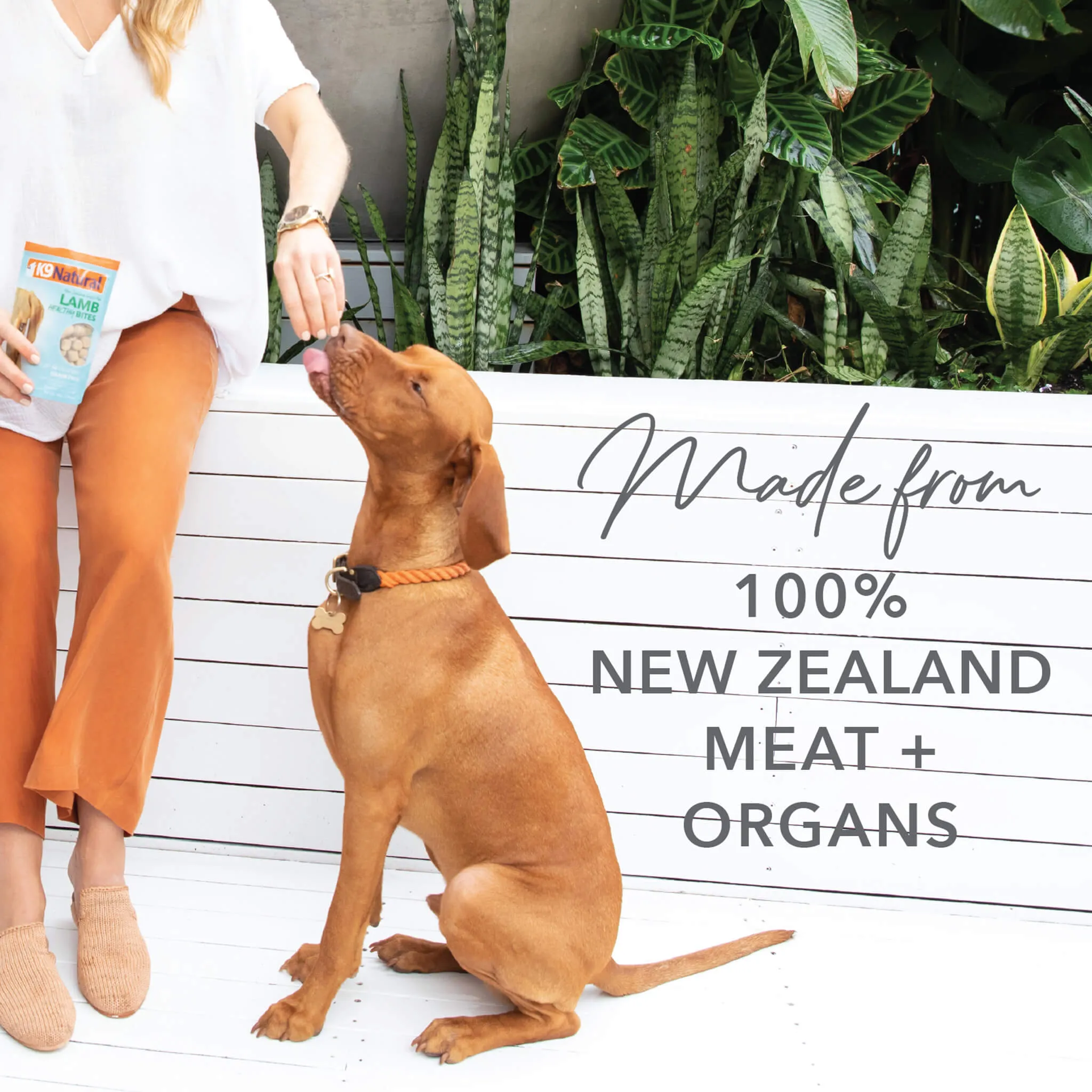 K9 Natural Air Dried Dog Treats