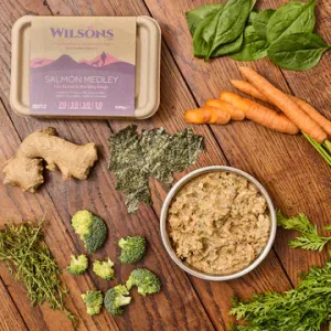 Salmon Medley