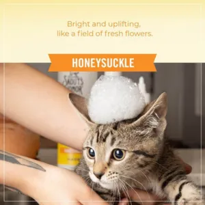Skout's Honor Probiotic Cat Shampoo   Conditioner Honeysuckle 16-oz